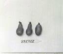 Click for 1 image(s) for this accession. FRUIT